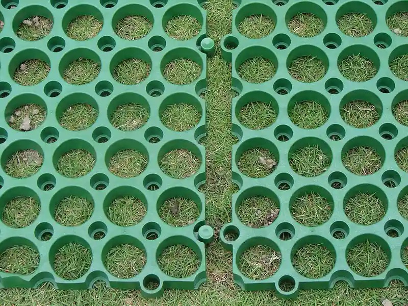 S__69287958_0